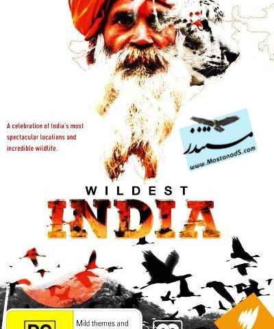 Wildest India