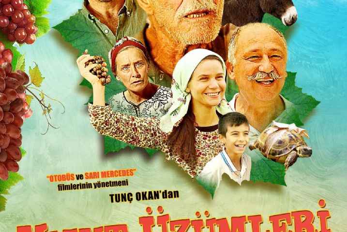Umut Uzumleri