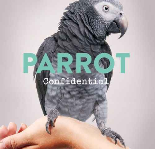Parrot Confidential on Nature