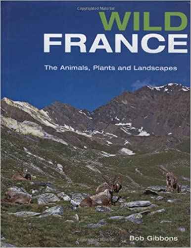 BBC Natural World France The Wild Side