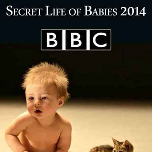 Secret Life of Babies