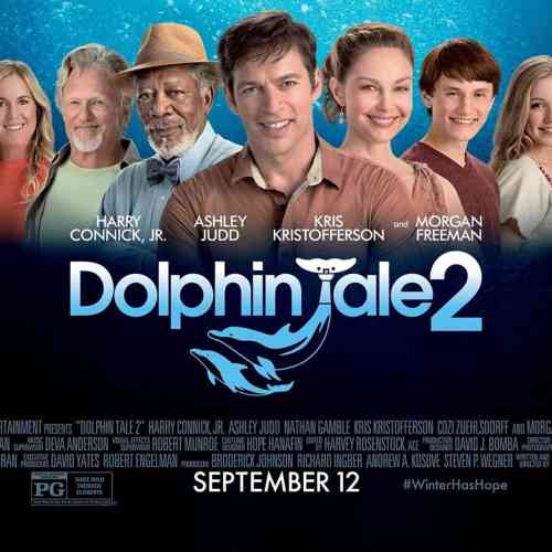 Dolphin Tale 2
