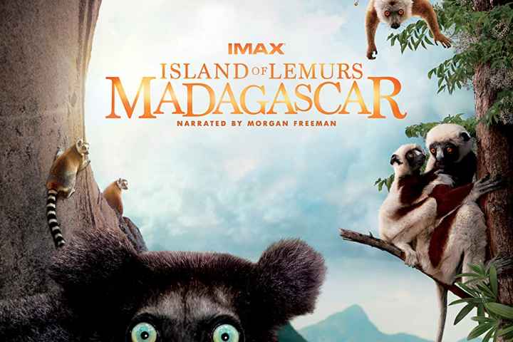 Island of Lemurs Madagascar