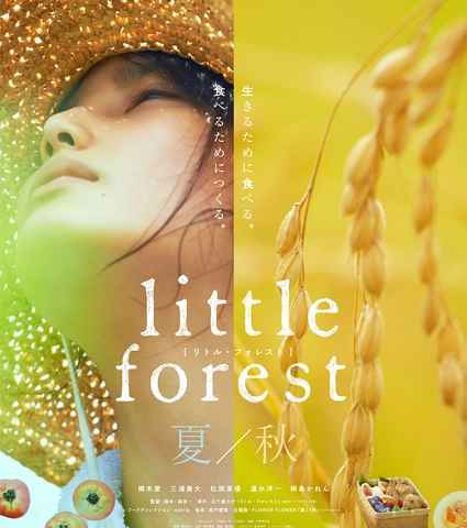 Little Forest Summer Autumn