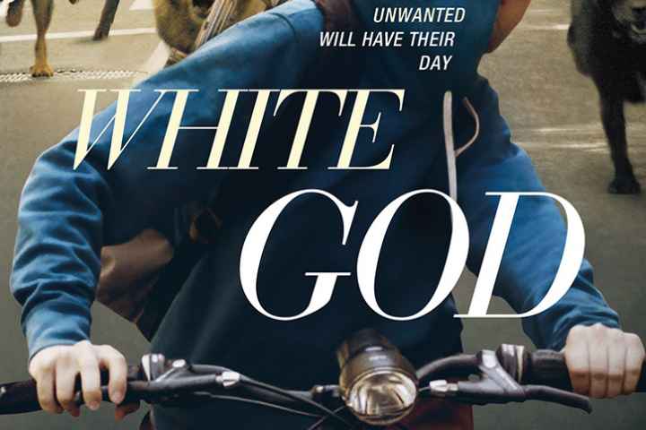 White God