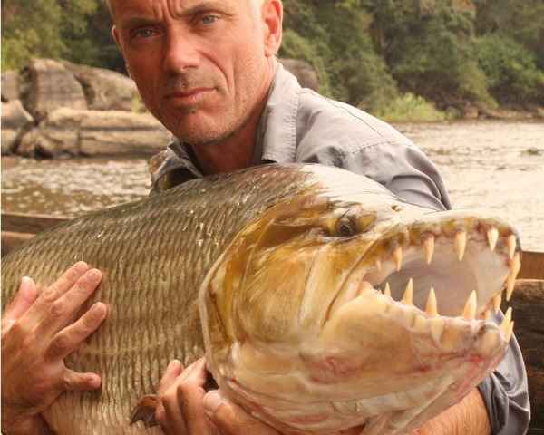 Monster Fish