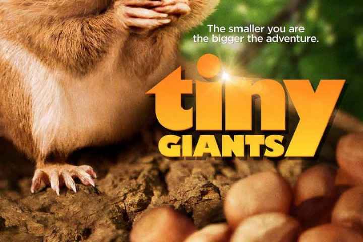 Tiny Giants 3D