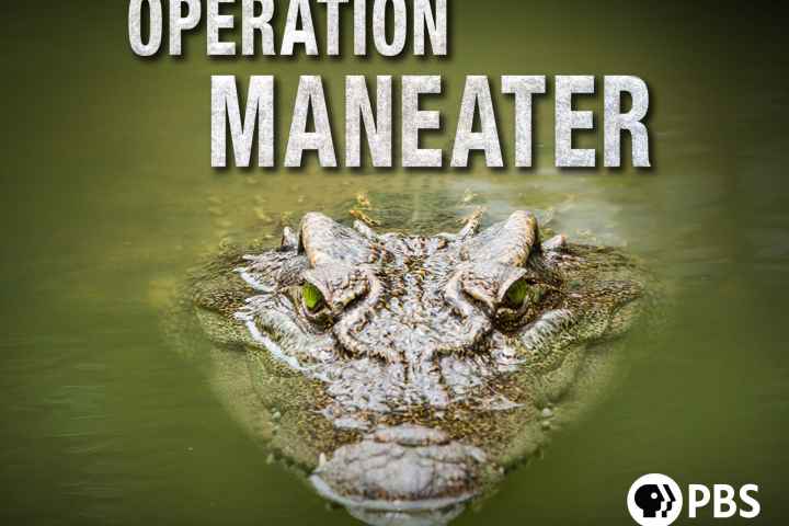 Operation Maneater