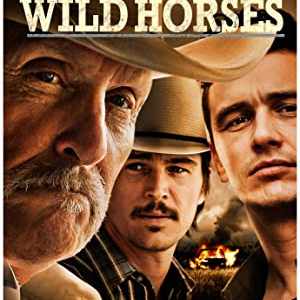 Wild Horses