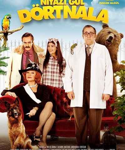 Niyazi Gul Dortnala