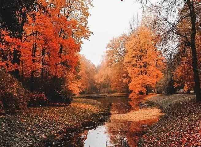 The beauty of the seasons