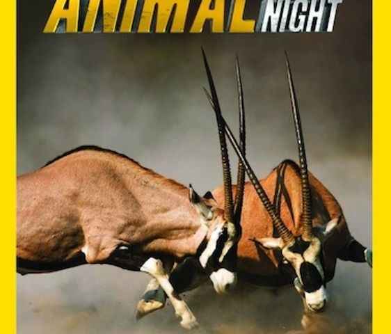 Animal Fight