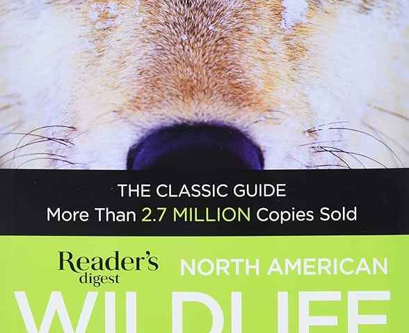 American Wildlife