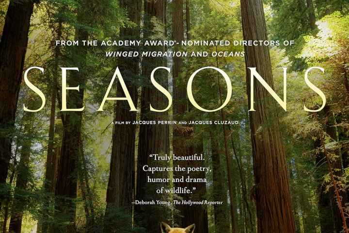 Seasons