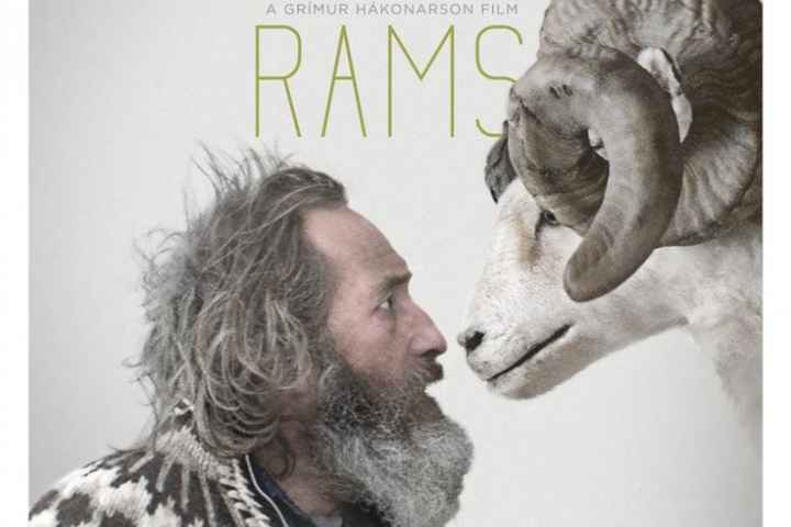 Rams