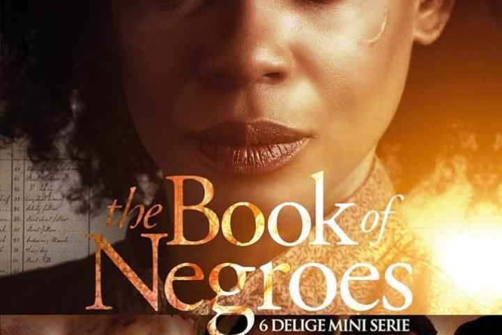 The Book of Negroes