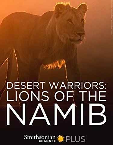 Desert Warriors Lions of the Namib