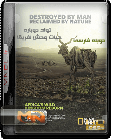 Africas Wild Kingdom Reborn