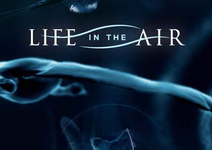 Life in the Air