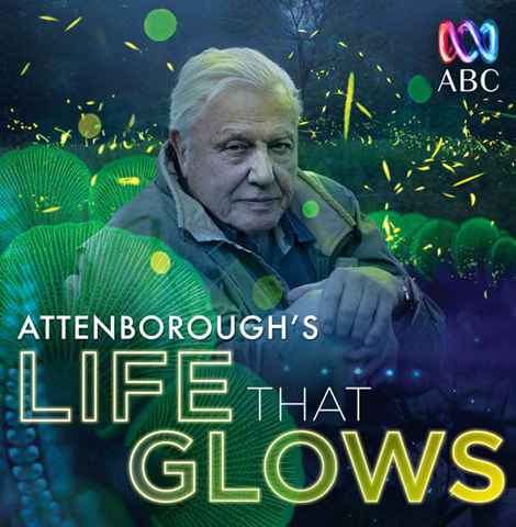 Attenboroughs Life That Glows