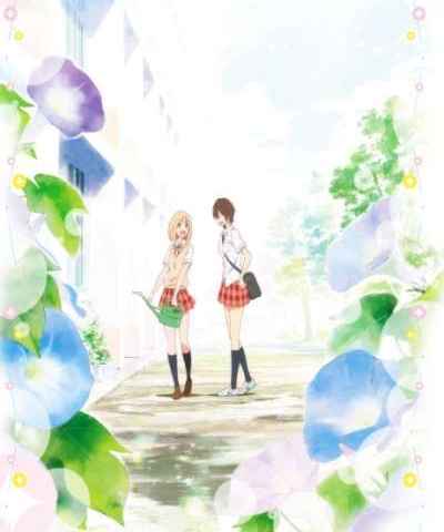 Your Light Kase san and Morning Glories