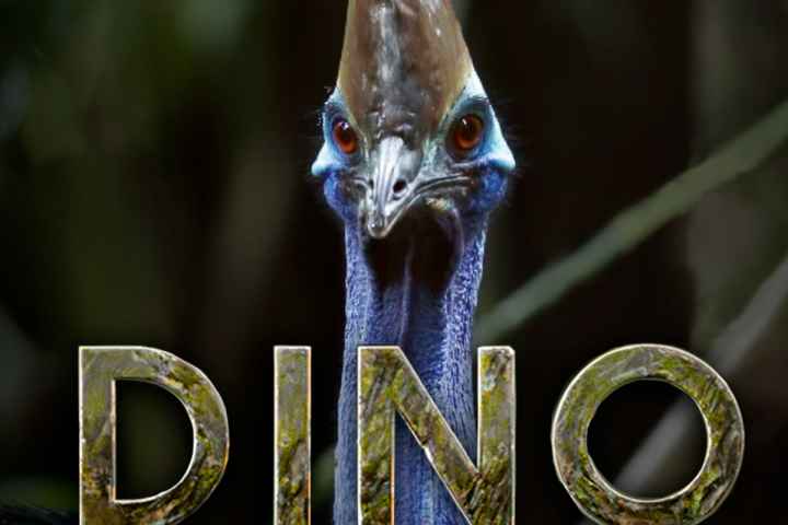 Dino Bird