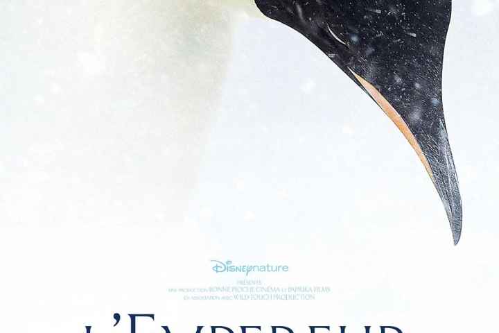 March of the Penguins 2 The Next Step