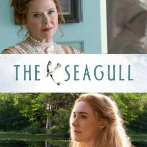 the seagull 2018