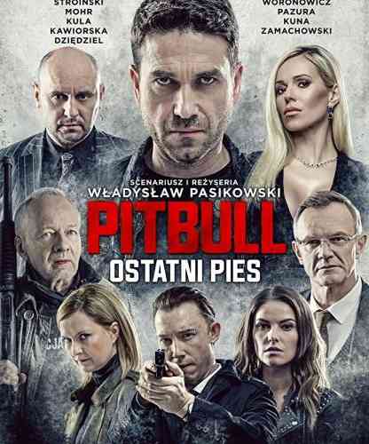 Pitbull last dog 