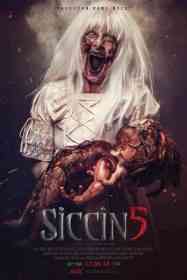   Siccin 5 2018