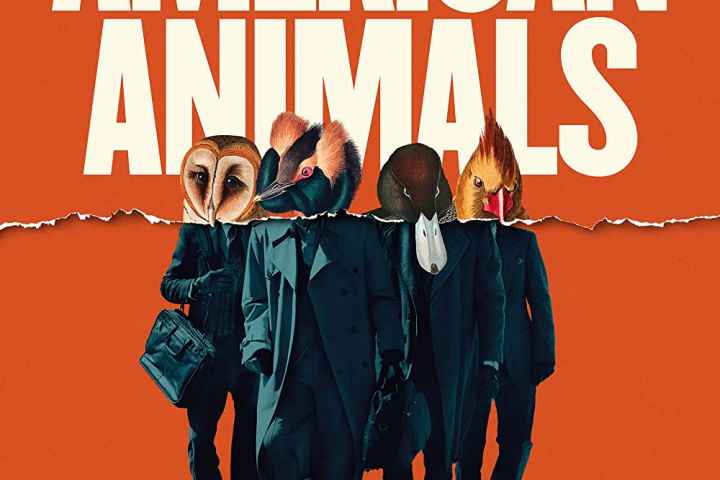 American Animals