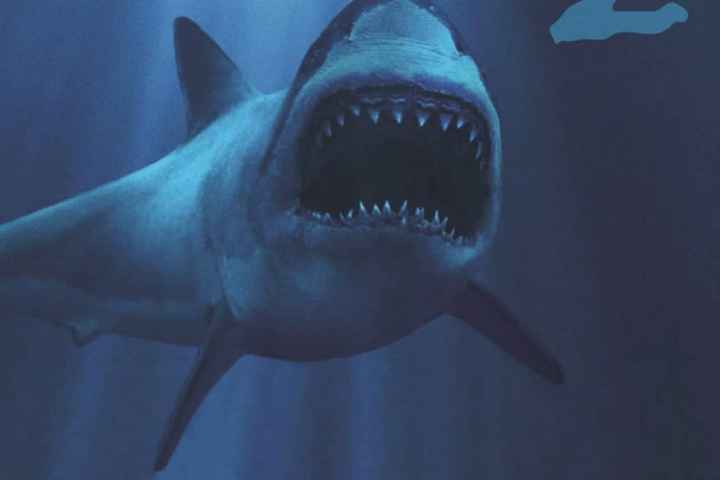 Deep Blue Sea 2