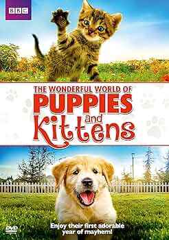 The Wonderful World of Puppies