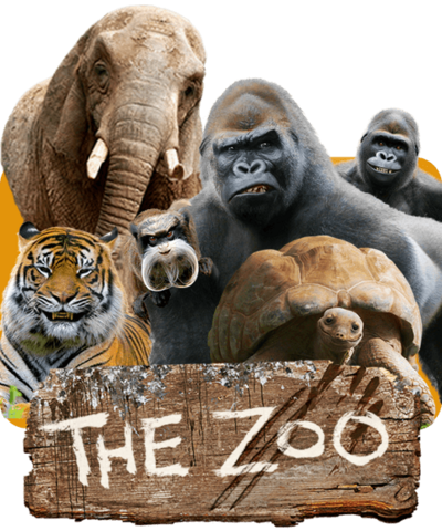 Wildlife In The Zoo