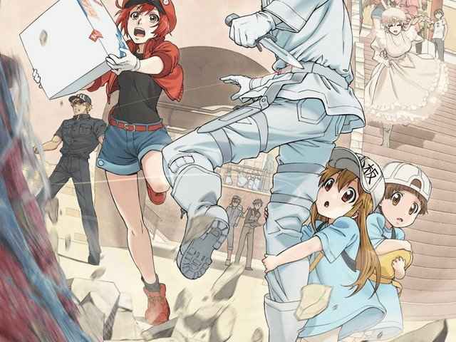 Cells at Work
