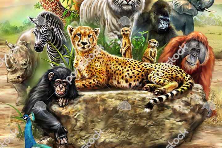 Wild Secrets