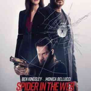 Spider in the Web 2019