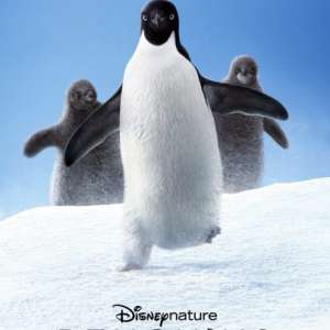 Penguins 2019