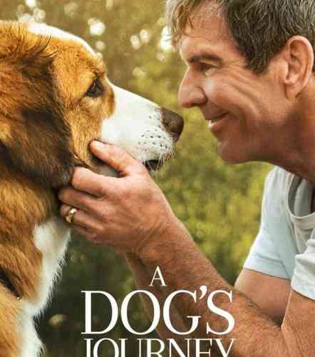  A Dog’s Journey 2019   