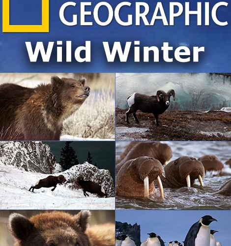 National Geographic – Wild Winter