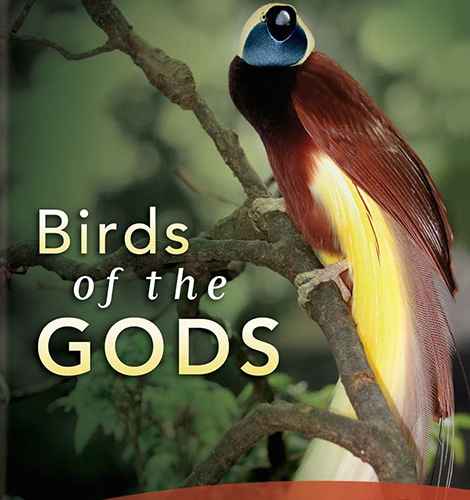 Birds of the Gods