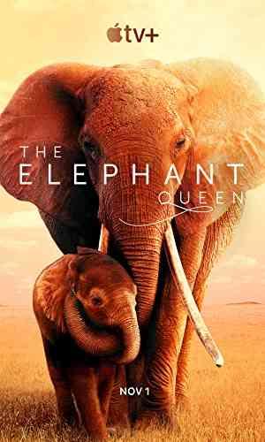 The Elephant Queen