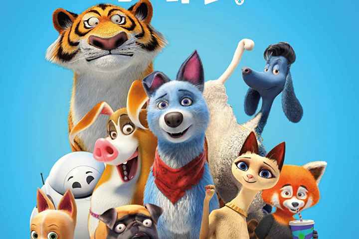 Pets United