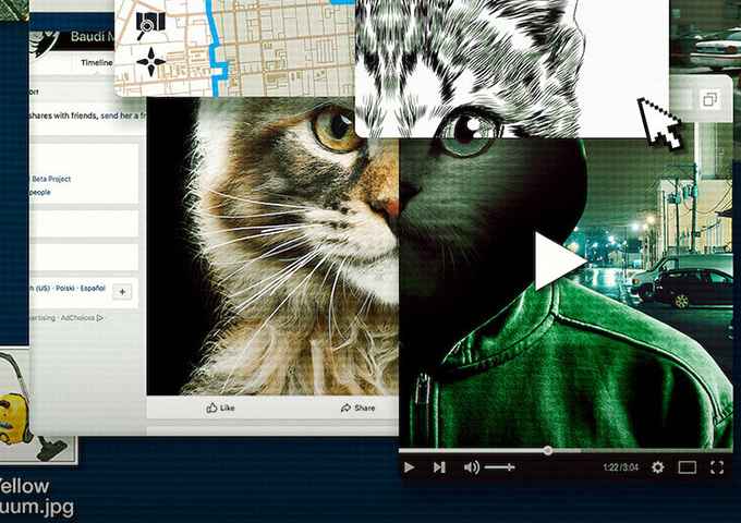 Dont mess with Cats Hunting an Internet Killer