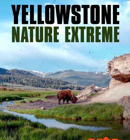 Epic Yellowstone