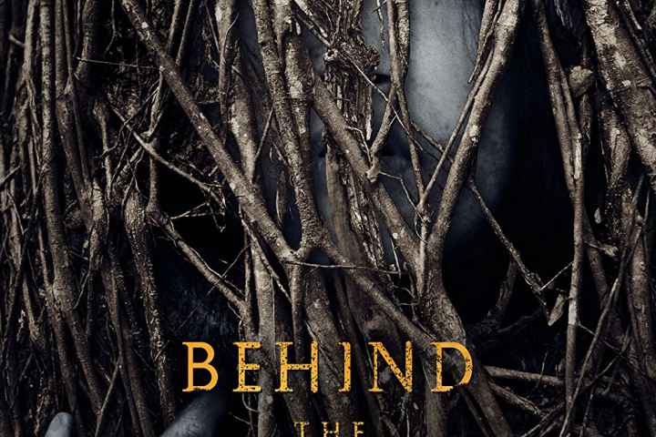 Behind the Trees