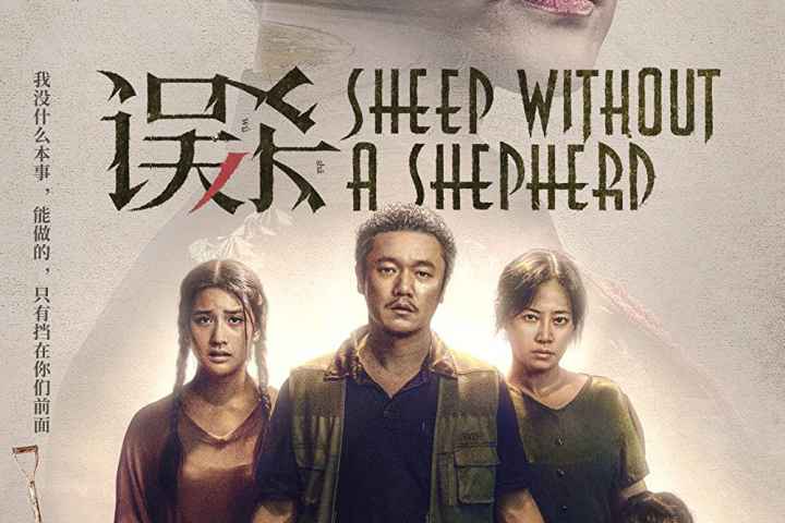 Sheep Without a Shepherd