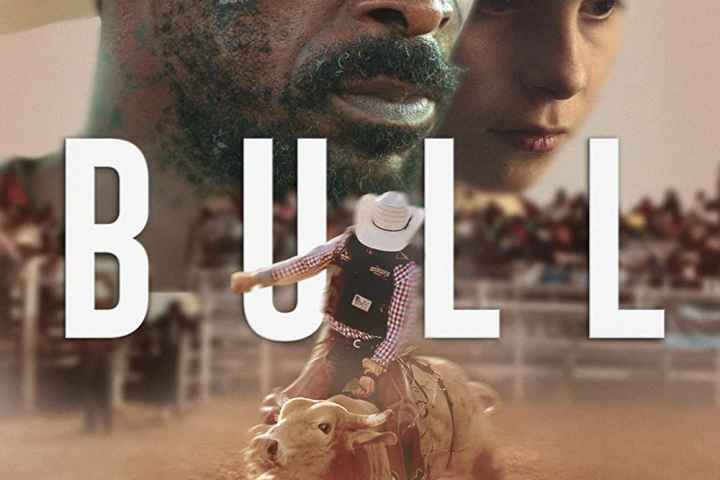 Bull
