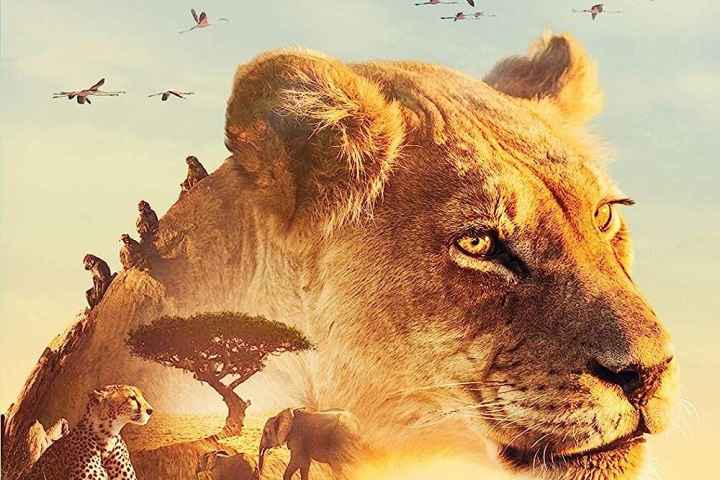 Serengeti