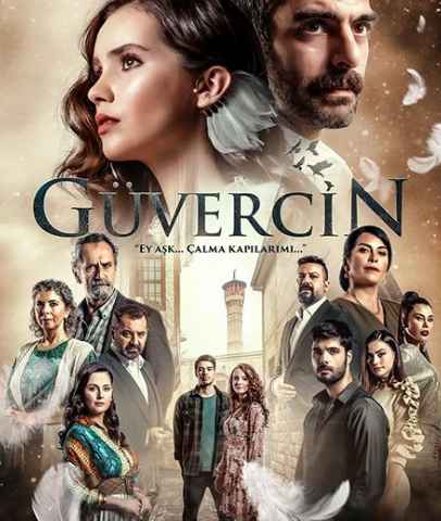 Guvercin